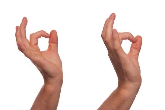 Langue des signes francaise niveau a1-a2